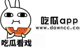 网红吃瓜网站叫什么来着,揭秘娱乐圈幕后真相