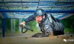 散兵爬山爆料视频大全集,揭秘幕后真相与精彩瞬间