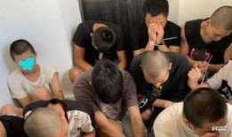 小六回国爆料视频播放,揭秘背后真相