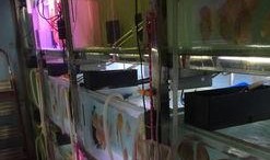 鱼七工作室最新爆料,最新爆料背后的故事与真相