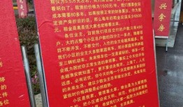 高价收爆料视频,视频背后的惊人真相