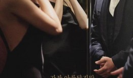 上流社会在线观看,揭秘名流精英的在线观看生活