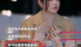 刘大锤爆料杨幂视频合集,杨幂视频合集大揭秘