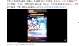 越南招商爆料事件视频播放,揭秘项目真相与争议