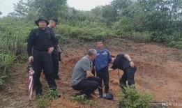宁都爆料嫌疑人最新消息,嫌疑人最新动态揭秘