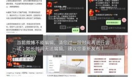 主持人看爆料视频怎么处理,如何巧妙应对爆料视频挑战