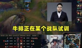 风雨战队爆料了吗视频,揭秘战队幕后故事与精彩瞬间