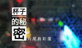 桂林饭店爆料视频最新,揭秘幕后真相与争议