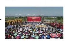 四川学校爆料视频最新,揭秘校园内幕