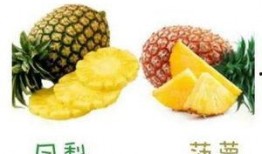 凤梨爆料视频大全最新,揭秘娱乐圈幕后真相