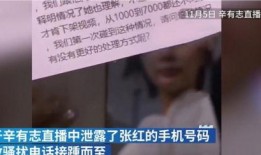 辛巴母亲爆料视频播放,揭秘背后真相