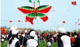 东岛风筝爆料视频下载,精彩瞬间与幕后故事