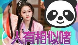 小瓜最新爆料视频大全,揭秘娱乐圈幕后真相