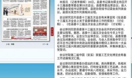 爆料三道菜新闻视频,视频爆料揭示惊人真相