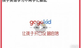 娱乐爆料家暴是真的吗知乎,真相揭秘，知乎热议