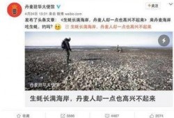 五一爆料网最新新闻事件,揭秘五一假期热门事件背后的真相