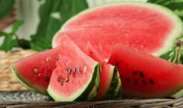 天天吃瓜 网红骨科,揭秘“天天吃瓜”背后的医疗奇迹