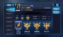 国服王者最新爆料,神秘英雄登场，版本更新即将来袭！