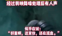 爆料诡异视频下载,诡异现象引发网友热议