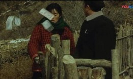 秋菊电影在线观看,农家女子的奋斗与爱情