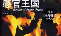 电影感官王国在线观看,一场视觉与听觉的感官盛宴