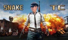 吃鸡爆笑爆料视频下载大全,带你领略游戏界的欢乐瞬间