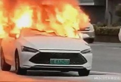 女生爆料比亚迪自燃视频,女生爆料惊心动魄视频曝光