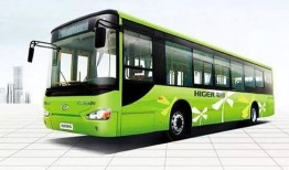 115路公交车爆料新闻,揭秘事故真相与安全警示