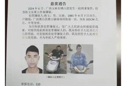 宁都爆料嫌疑人最新消息,嫌疑人最新动态揭秘