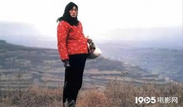 秋菊电影在线观看,农家女子的奋斗与爱情