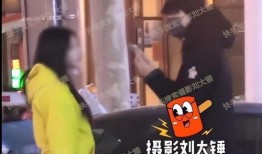 刘大锤爆料女神视频播放,播放量惊人揭秘幕后真相