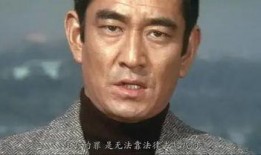 追捕1976在线观看,正义与邪恶的生死较量