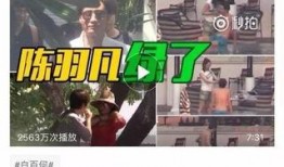 火爆八卦爆料视频大全集,视频大全集揭秘娱乐圈幕后真相