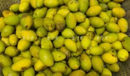 玉蕾橄榄菜爆料怎么做视频,视频教程带你轻松上手