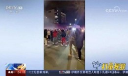 越南招商爆料事件视频播放,揭秘项目真相与争议