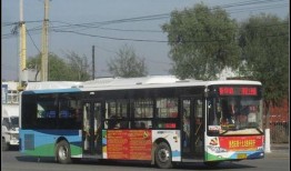 115路公交车爆料新闻,揭秘事故真相与安全警示