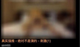 色情全在线观看,揭秘网络色情产业的秘密与危害