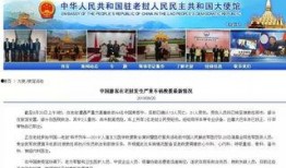 老挝骗局爆料新闻报道,新闻报道曝光的惊人内幕