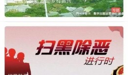 菲律宾爆料新闻视频网址,揭秘新闻视频背后的惊人真相