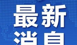 关于新冠爆料的新闻稿件,揭秘疫情背后的真相与挑战