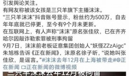 辛巴爆料三只羊事件视频,揭秘网络直播背后的惊人真相