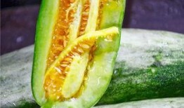 网上最新吃瓜网红是谁