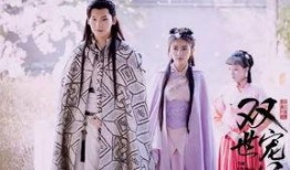 双世宠妃在线观看全集,穿越时空的甜蜜爱恋