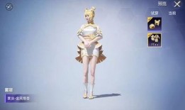 和平精英小转盘爆料最新,全新福利等你来拿！