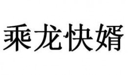 乘龙快婿爆料视频全集,揭秘豪门背后的惊人真相