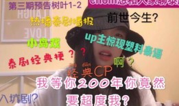 豆瓣爆料王朔是谁啊视频,豆瓣爆料王朔是谁？探寻知名作家的神秘面纱
