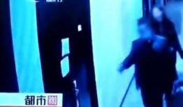 今日奇闻爆料最新一期,今日奇闻爆料最新一期，带你探索神秘现象与未知世界