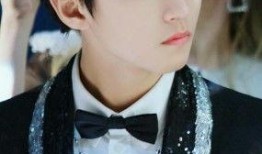 王俊凯爆料男星视频播放,引发网友热议