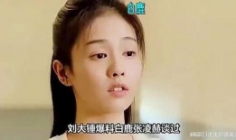 娱乐圈刘大锤爆料事件,揭秘明星幕后真相