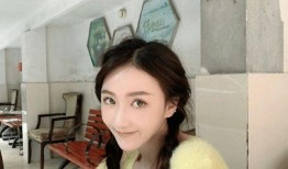 王鑫磊前女友爆料视频,揭秘背后惊人真相